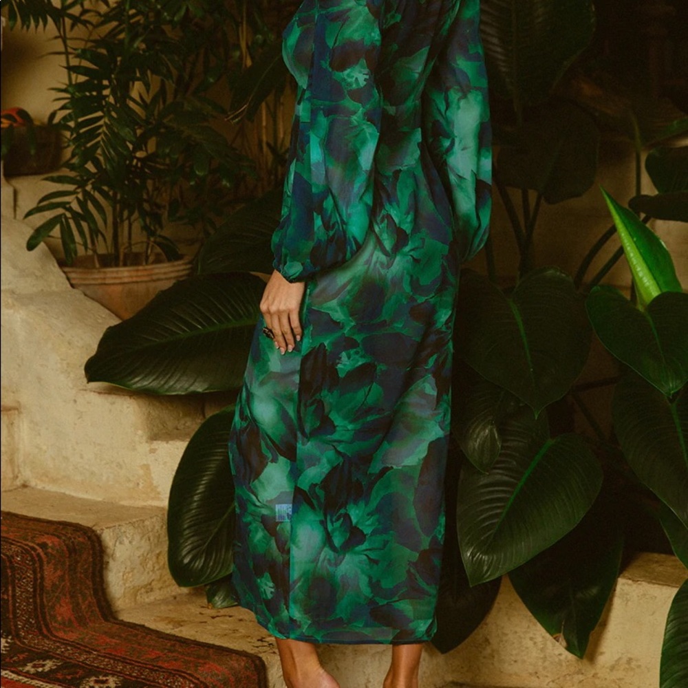 Green maxi dress with long sleeves! Very sexy and a bit see through